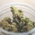 Are There Senior and Veteran Discounts at Dispensaries in Los Angeles County, CA?