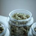 The Ultimate Guide to Obtaining a Cultivation License for Dispensaries in Los Angeles County, CA